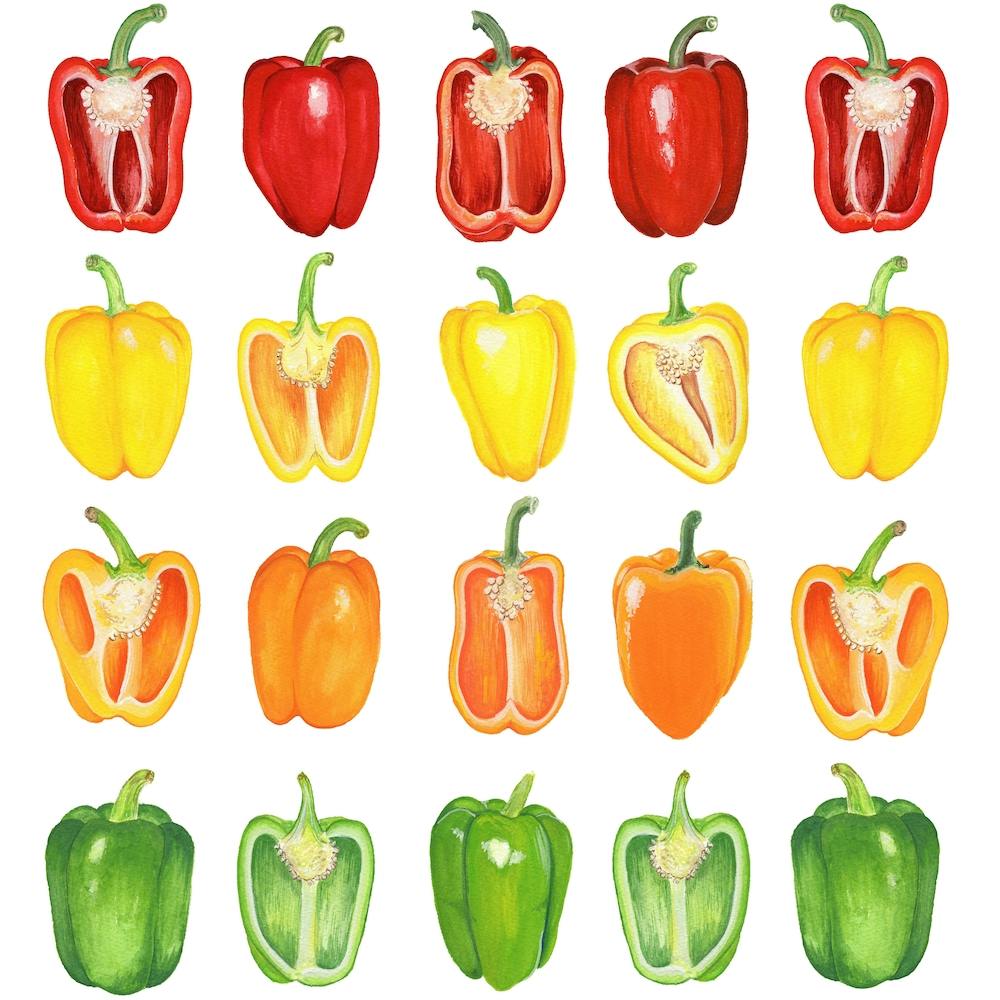 Repeat Pattern Pepper Square