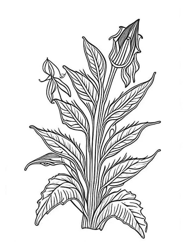 Comfrey Herb William Morris Inspired Line Drawing 1