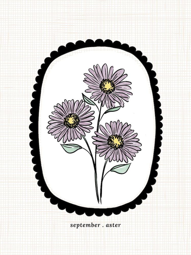 September Aster Birth Flower