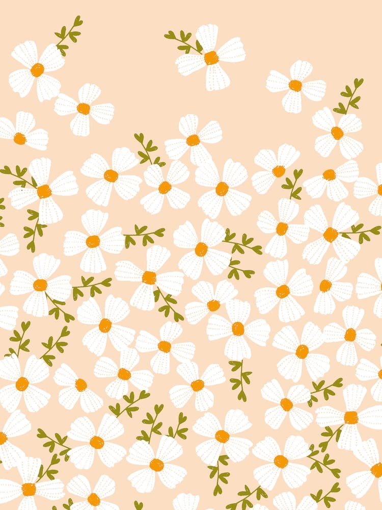 Peach Daisies