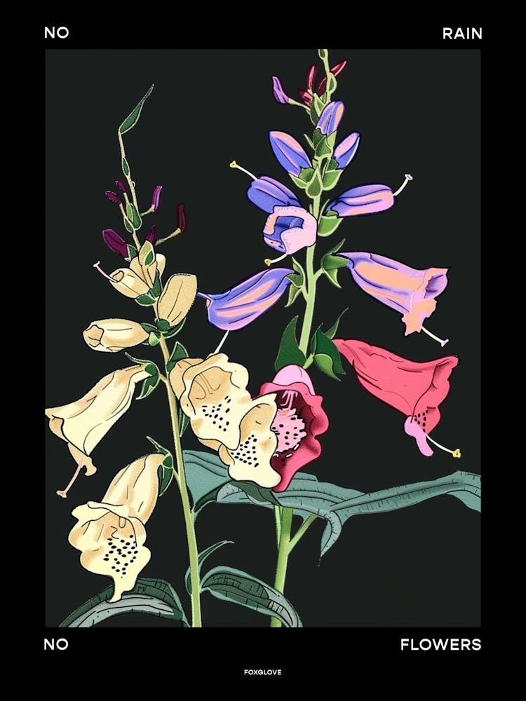No Rain No Flowers Affiche Foxglove 3