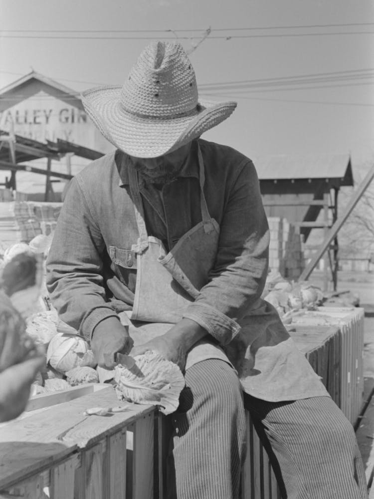 Removing Outer Leaves From Cabbages Before Packing, Alamo, Texas By Russell Lee
