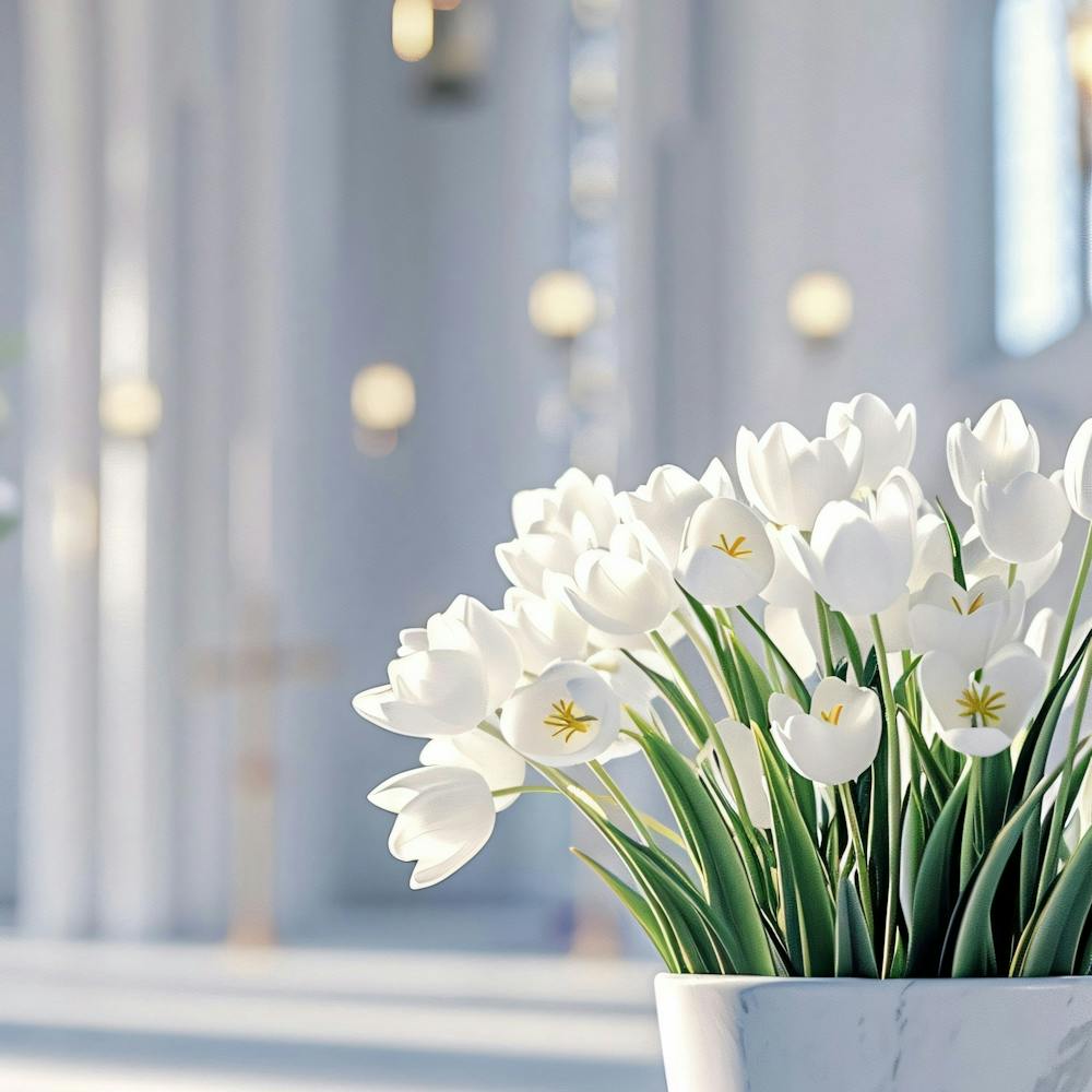 White Tulips In Church