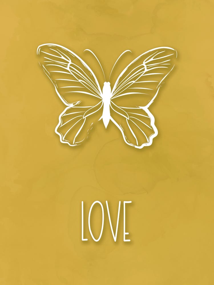 Love Butterfly