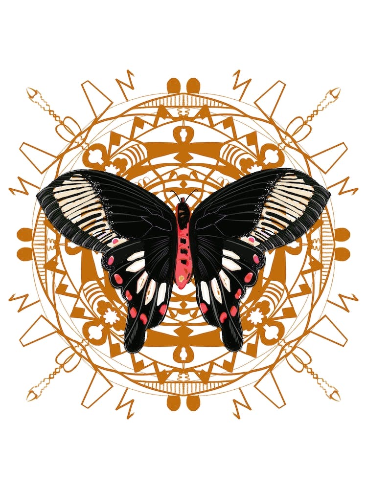 Mandala With Black Butterfly