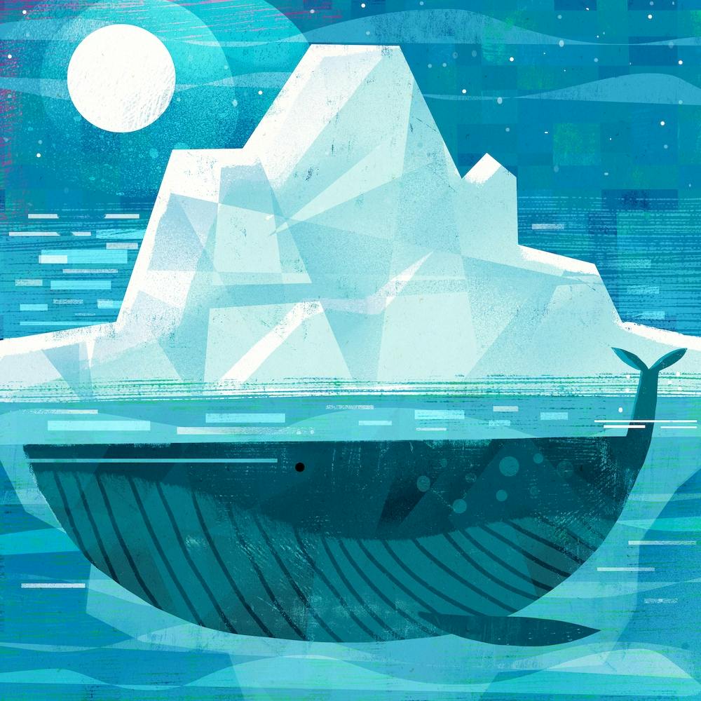 Iceberg Whale Square