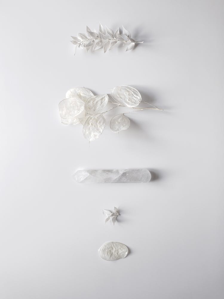 Stones And Branches 4