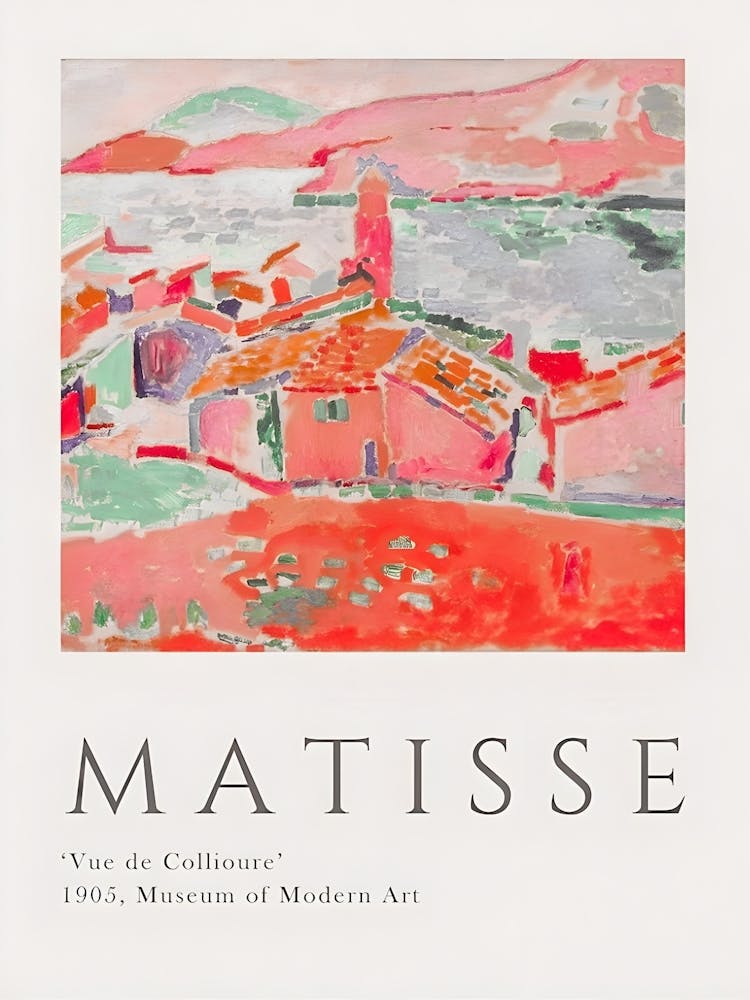 Matisse And Warhol107