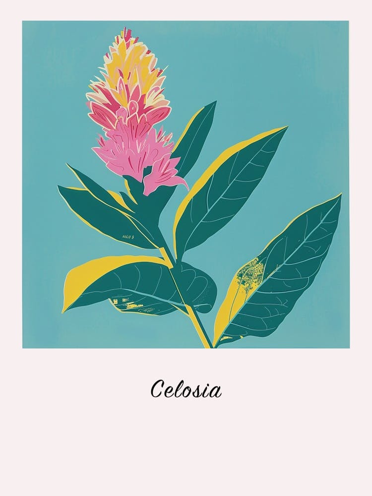 Celosia 1 Square Flower Illustration Poster