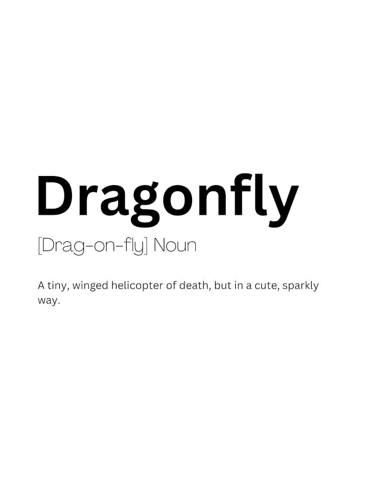 Dragonfly Definition Meaning