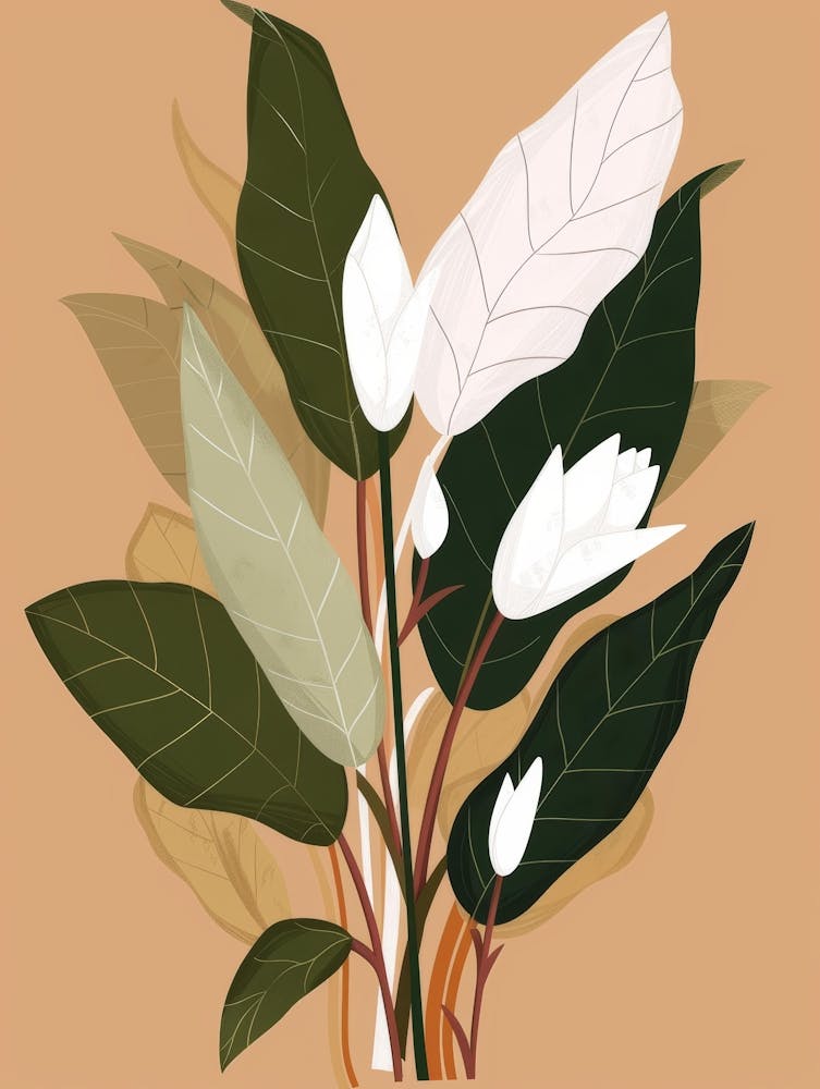 Magnolia 21