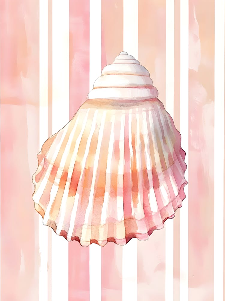 Seashell Canvas Print