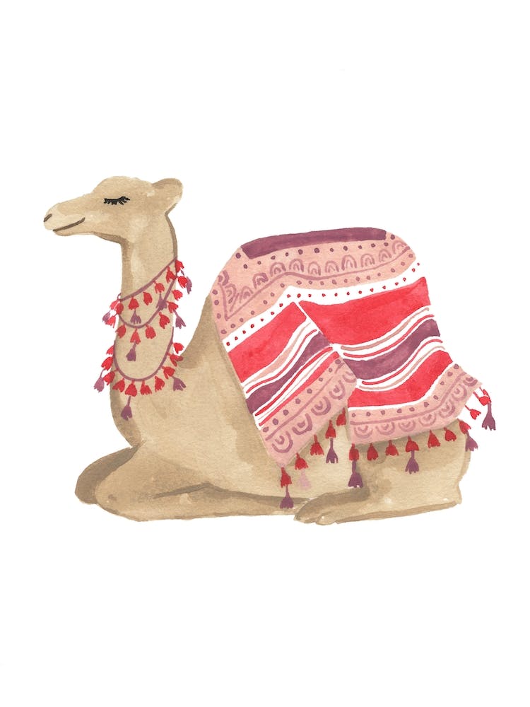 Camel