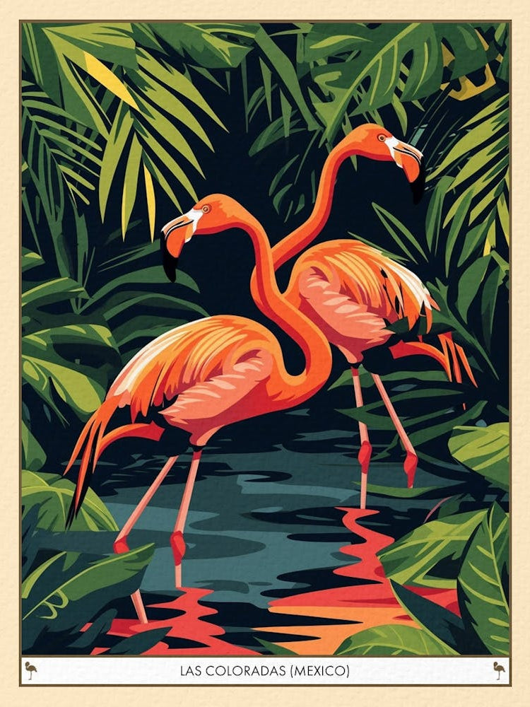 Greater Flamingo Las Coloradas Mexico Tropical Illustration 3 Poster