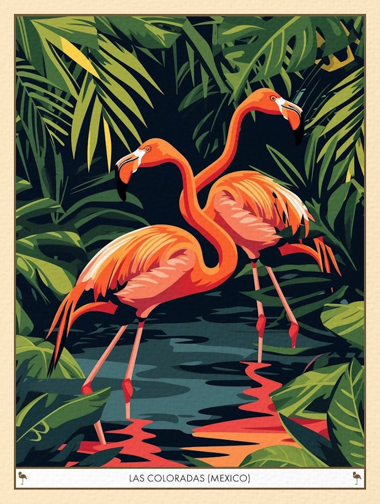 Greater Flamingo Las Coloradas Mexico Tropical Illustration 3 Poster
