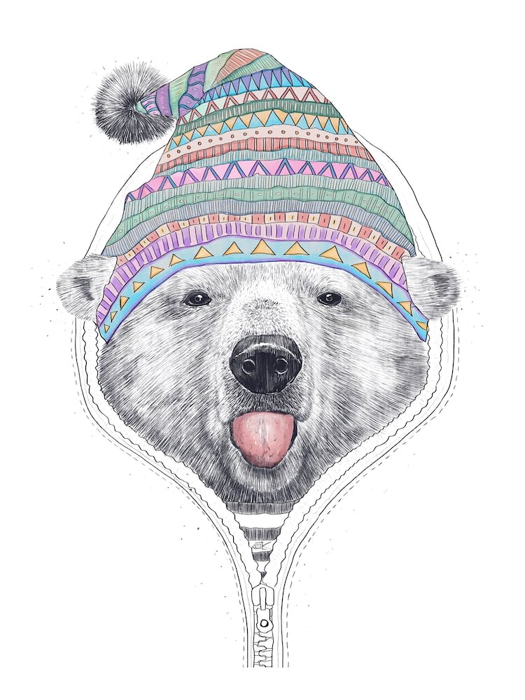 Bear In A Hood