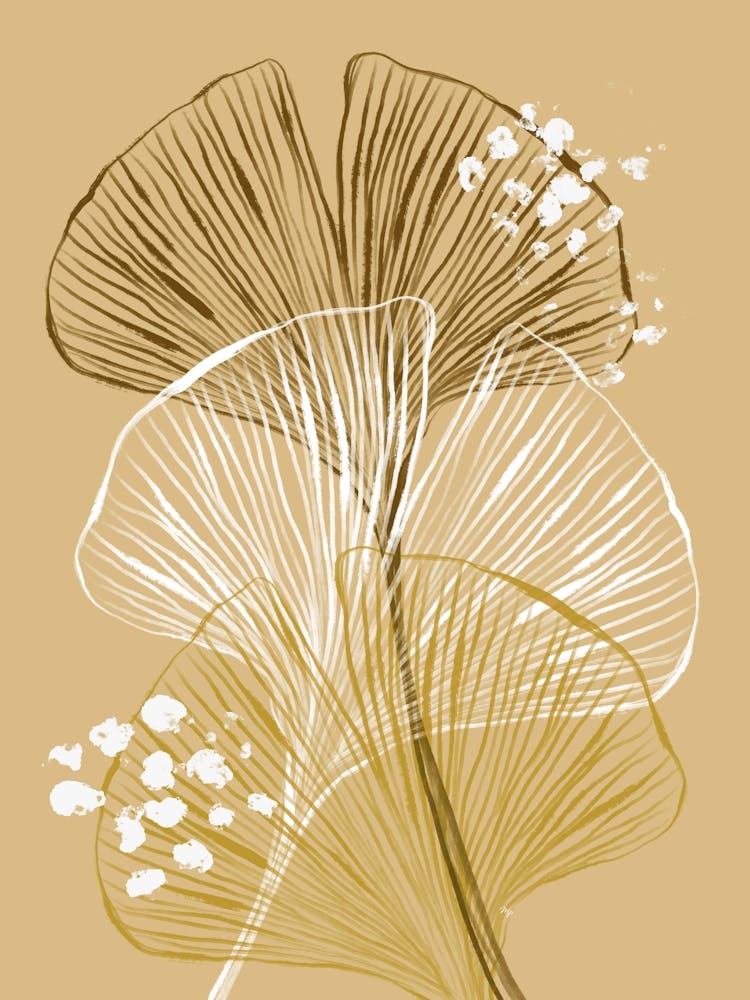 Beige Gingko Biloba