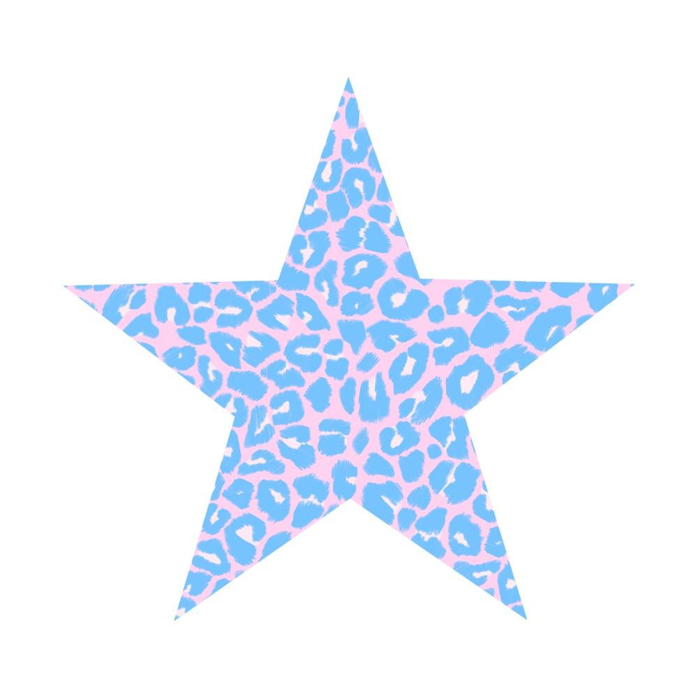 Blue and Pink Leopard Print Star