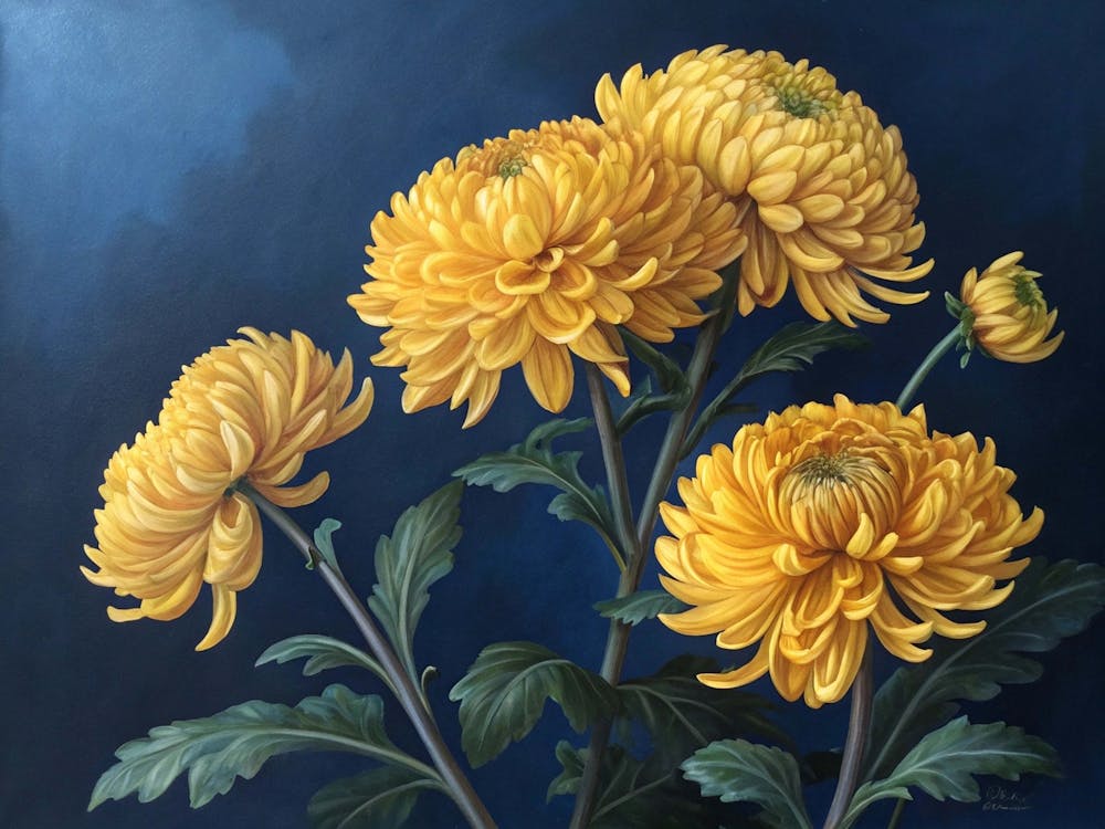 Chrysanthemums flowers 2