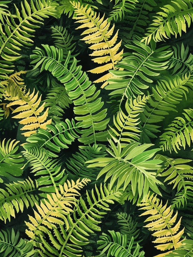 Pattern Poster Sensitive Fern 1