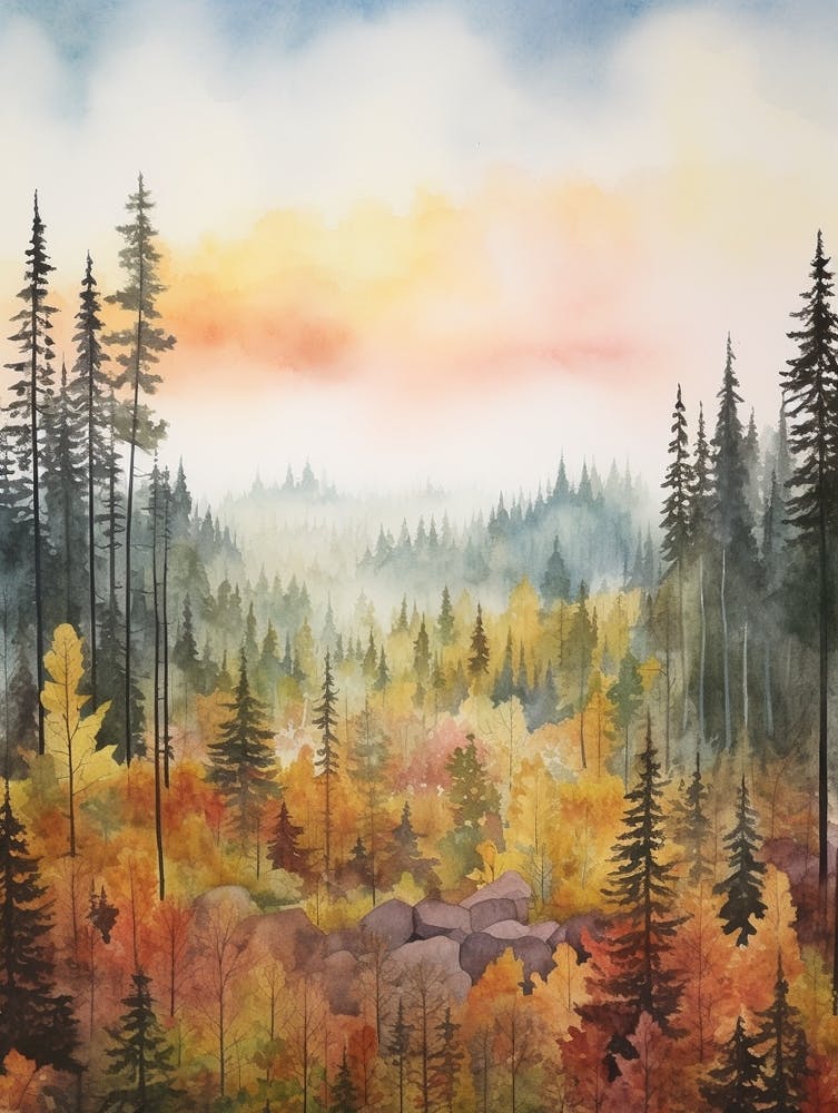 Autumn Forest Landscape The Nuuksio National Park Finland