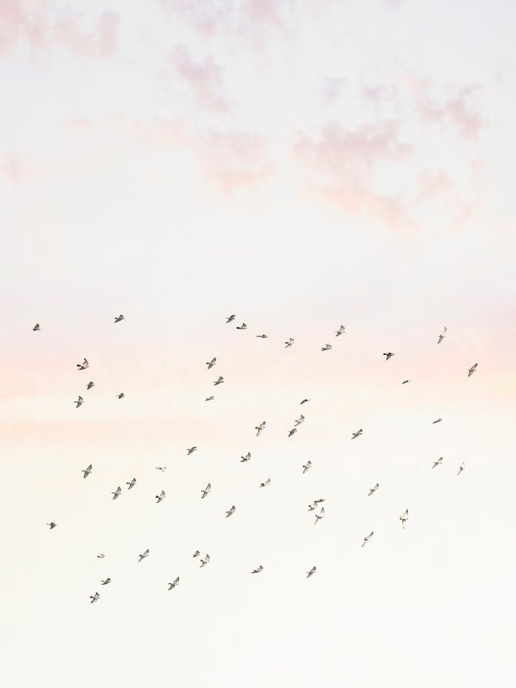 Pastel Sky
