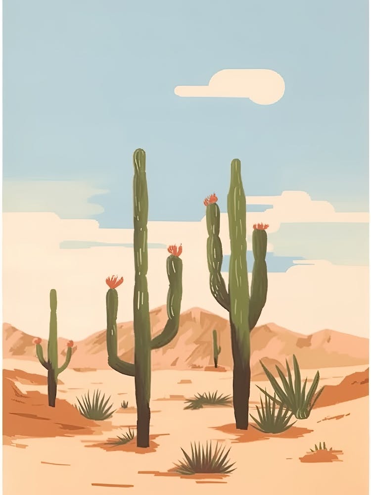 Desert Cactus Landscape Illustration 4