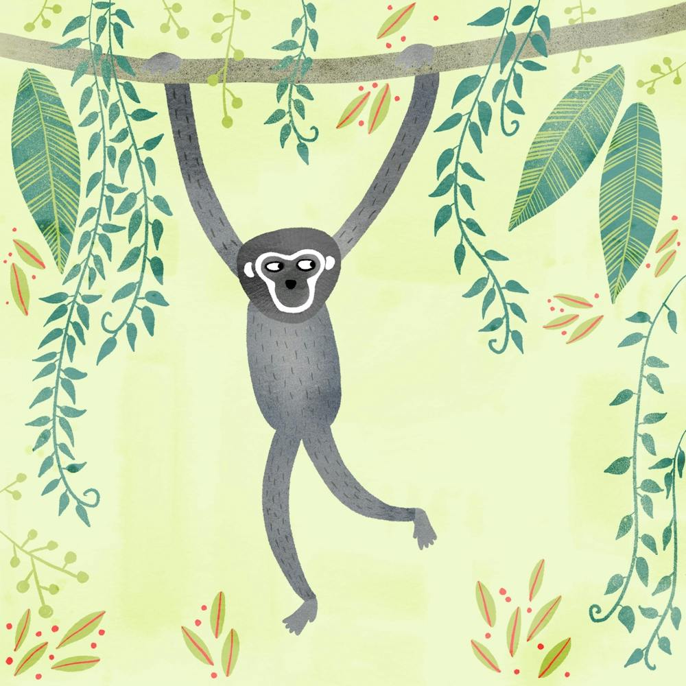 Gibbon in the Jungle