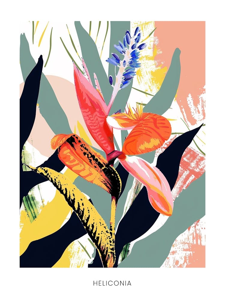 Colourful Flower Illustration Poster Heliconia 4