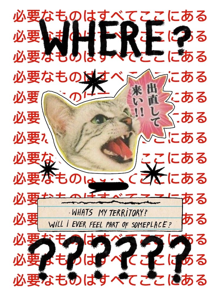 ♥ nomad cat ♥