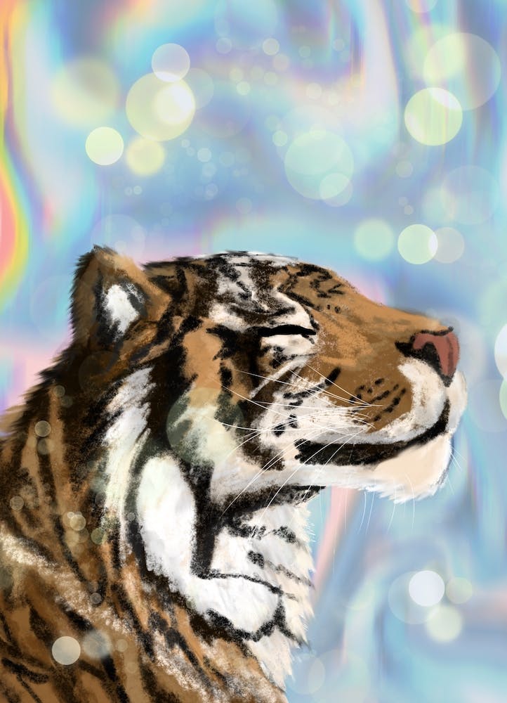 Tiger Dream