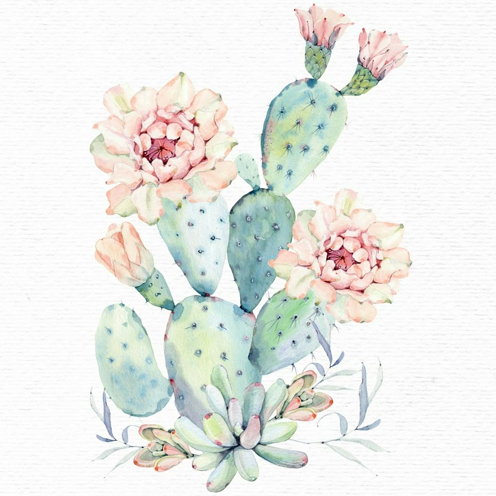 Pretty Watercolor Cactus Flowers