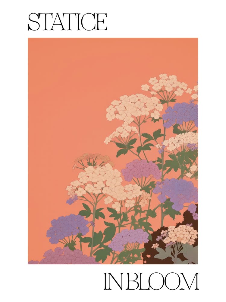 Statice In Bloom Flowers Bold Illustration 3