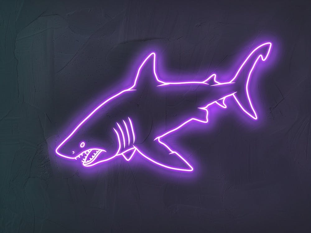 Neon Purple Bull Shark 2
