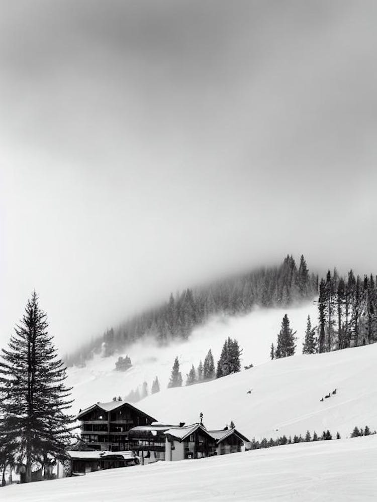 Les Menuires, France - Affiche Ski Noir et Blanc