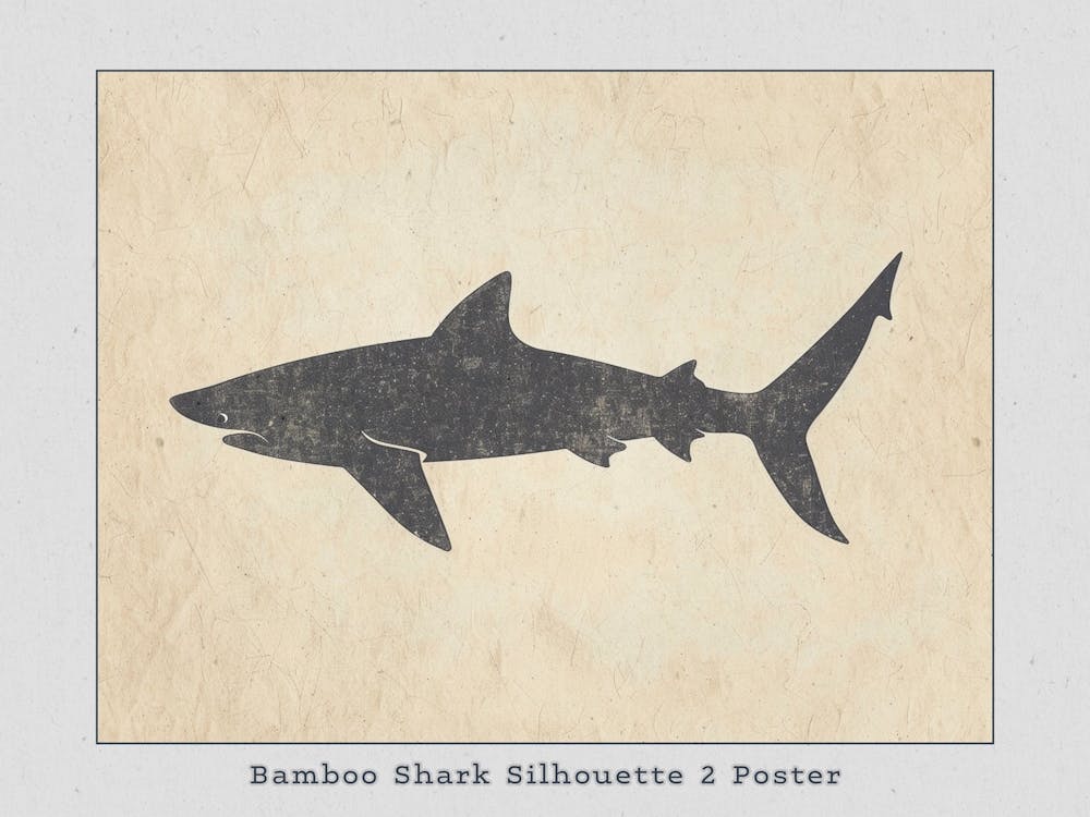 Silhouette de requin bambou 1 Affiche