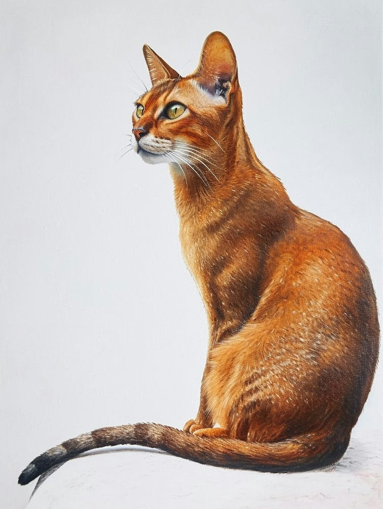 Abyssinian Cat Painting 1