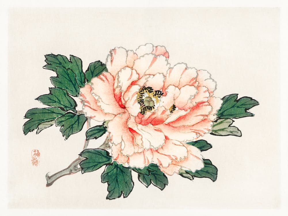 Pink Rose, Kōno Bairei