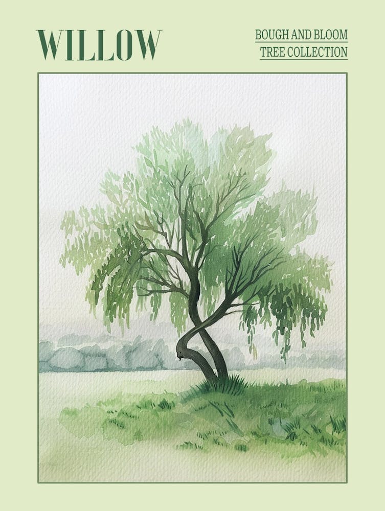Willow Tree Atmospheric Watercolour Painting 6 Poster
