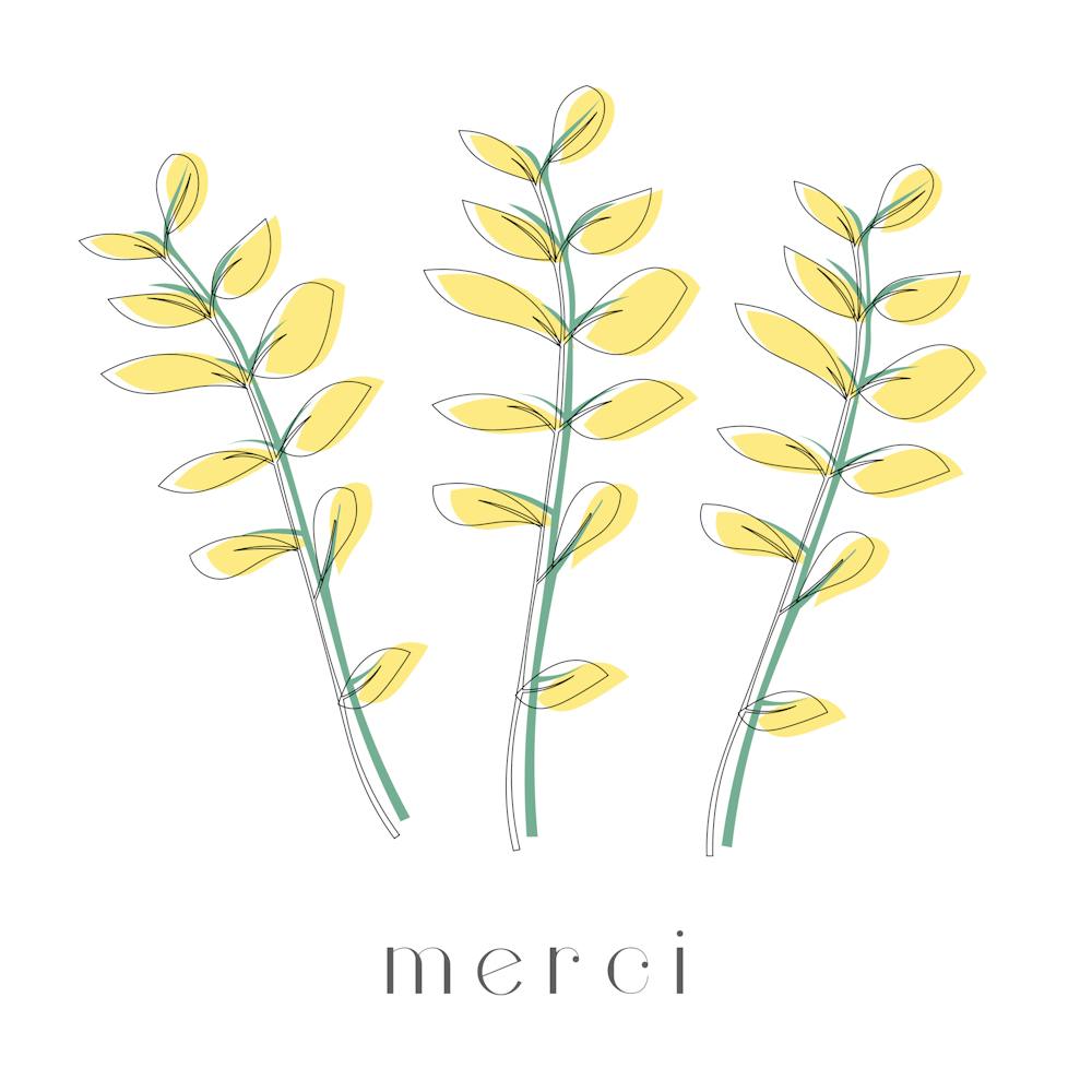 merci - botanical line art