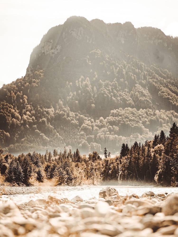 Wilderness Creek