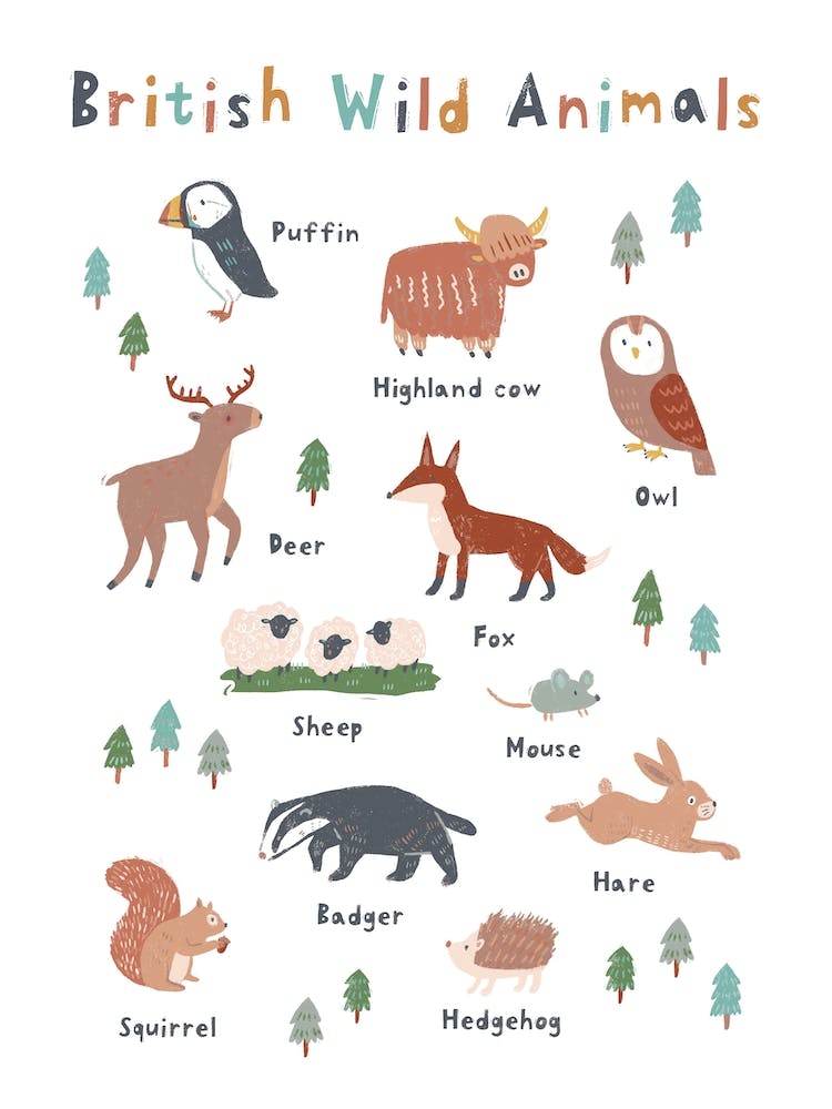 British Wild Animals