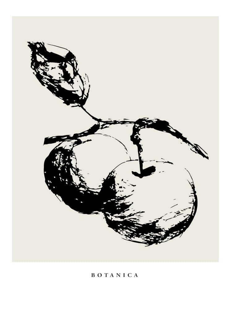 Ligne Botanica n° 27