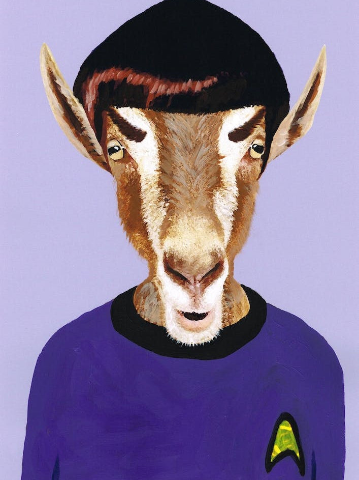 Mr Spock Goat