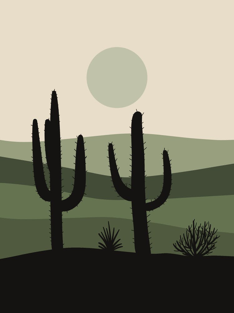 Cactus In The Desert 27