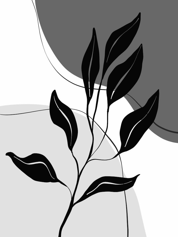 Abstract Black And White Leaves 5