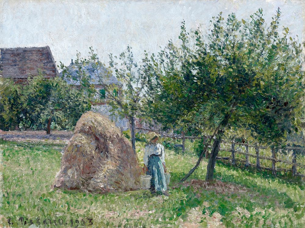 Apple Trees In Eragny, Sunny Morning (1903), Camille Pissarro
