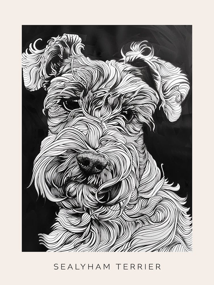 Sealyham Terrier Dog Line Art 3 Poster