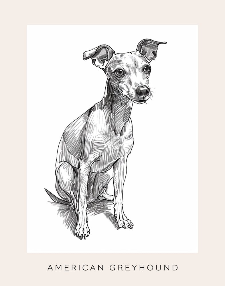 American Greyhound Dog Line Sketch 1 Poster
