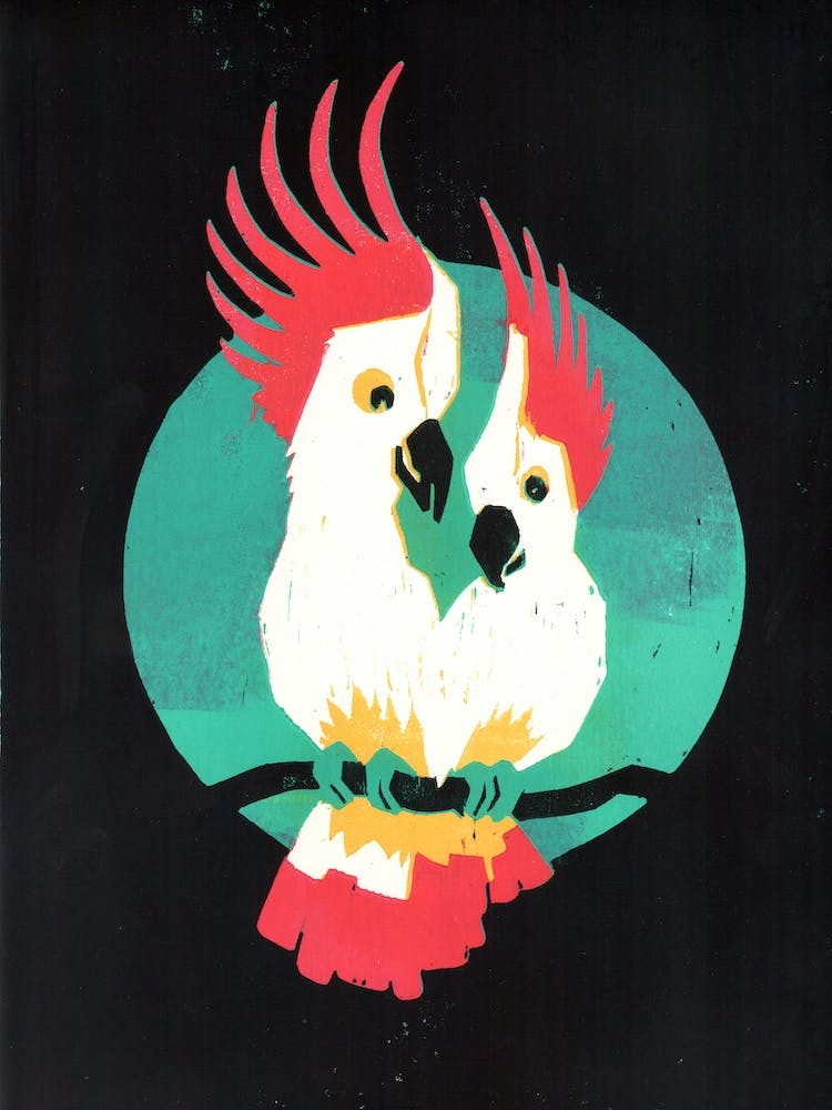 Two Cockatoos In Love Black